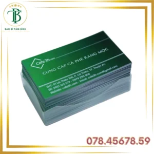 In Card Visit - Bao Bì Tâm Bình