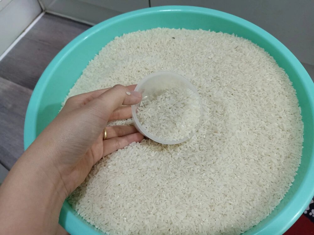 Nguyên nhân và Giải pháp Phòng ngừa Hư hỏng Gạo