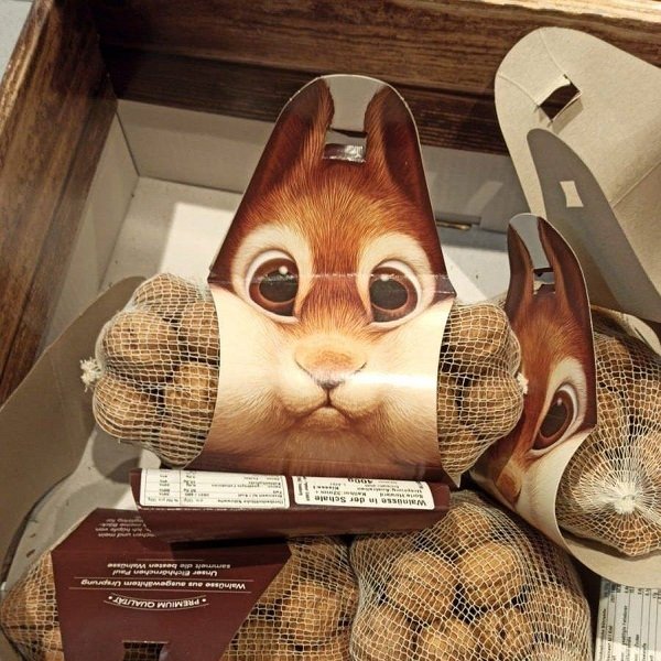 Ý tưởng bao bì độc đáo, hay